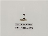 藏品(龜紋瓢蟲)的圖片